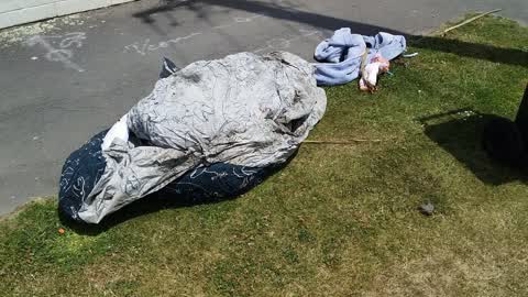 Rubbish/Recycling, a report photo