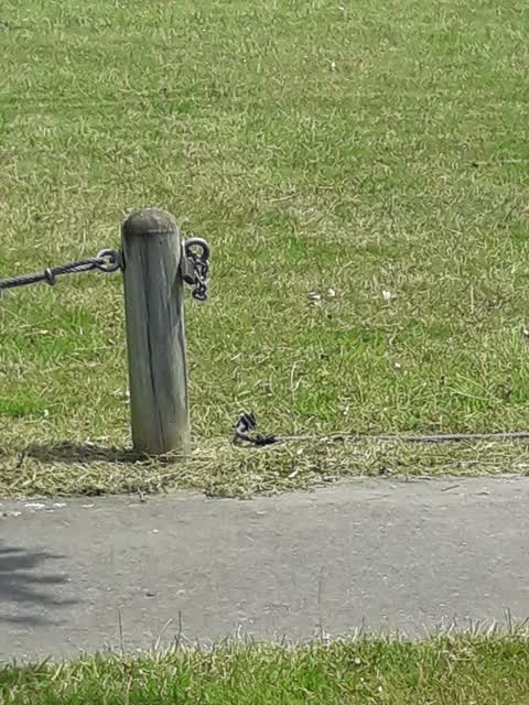 Parks, a report photo