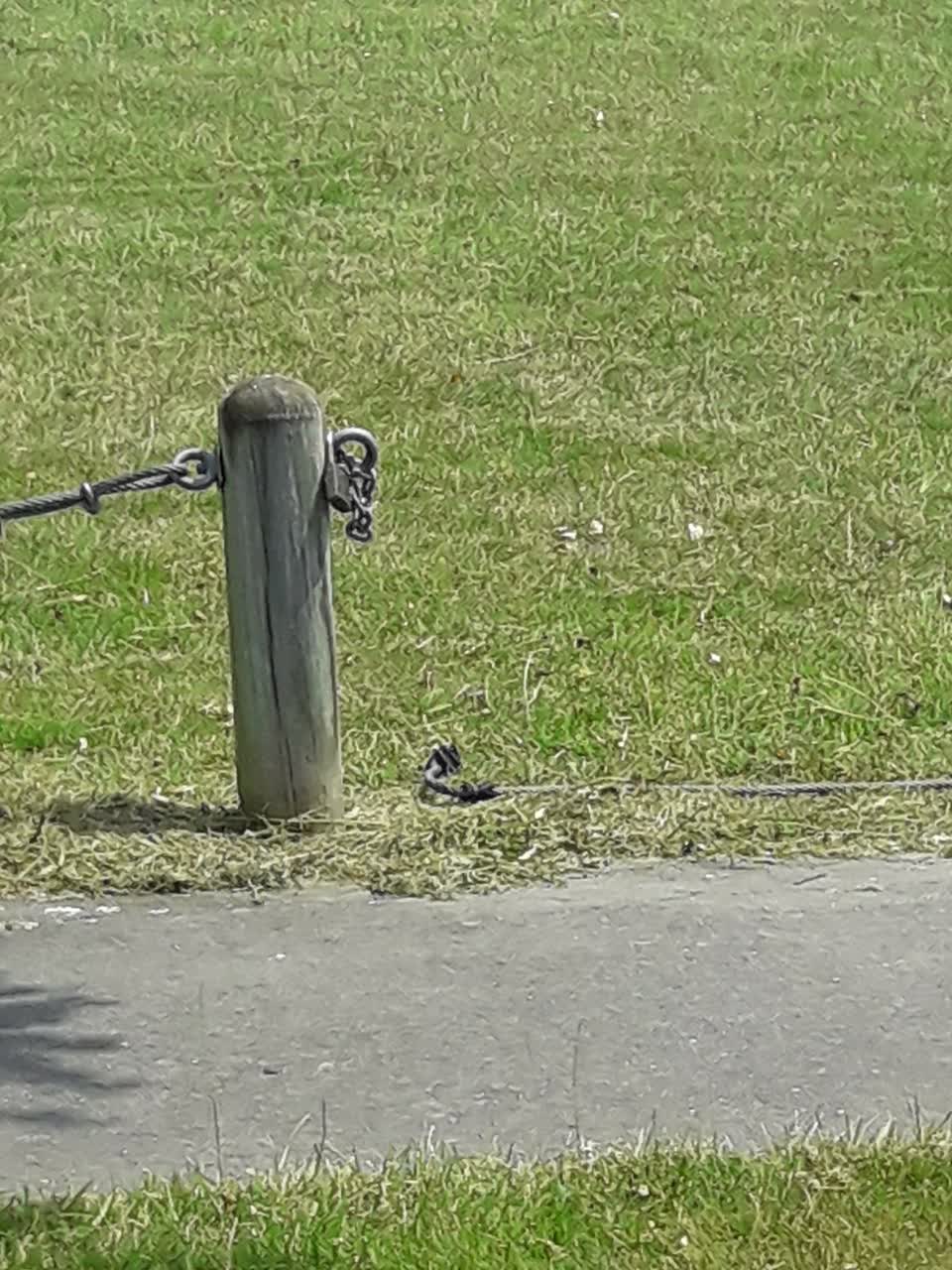 The photograph attached to this parks report