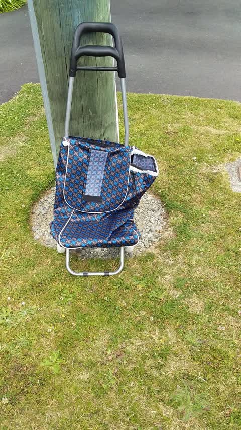 Rubbish/Recycling, a report photo