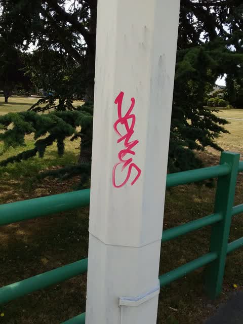 Graffiti, a report photo