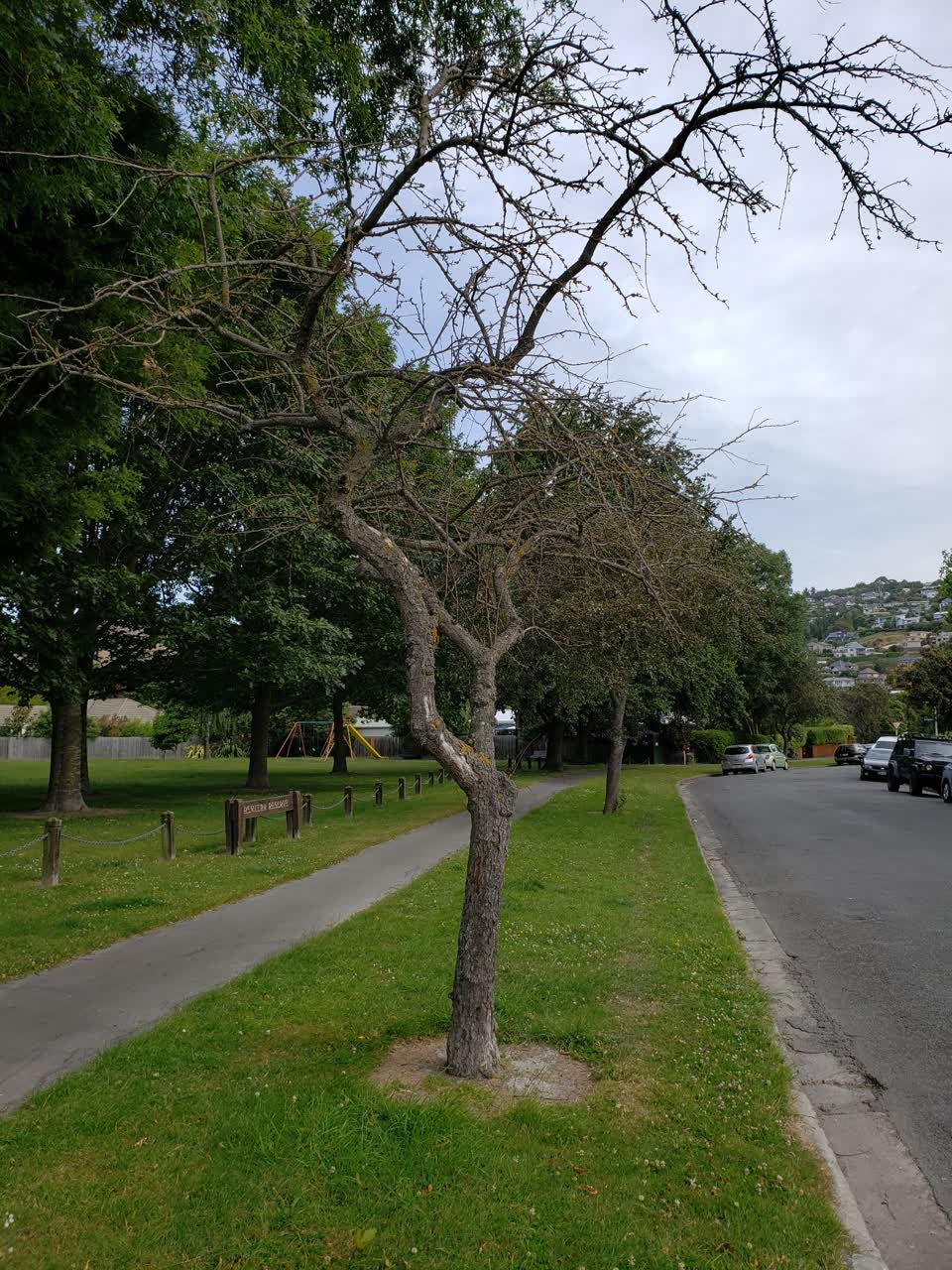 The photograph attached to this parks report
