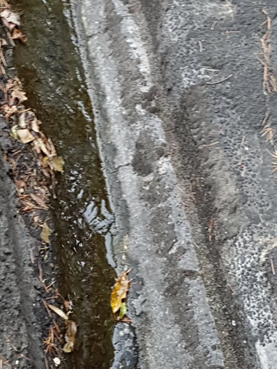 The photograph attached to this water supply report