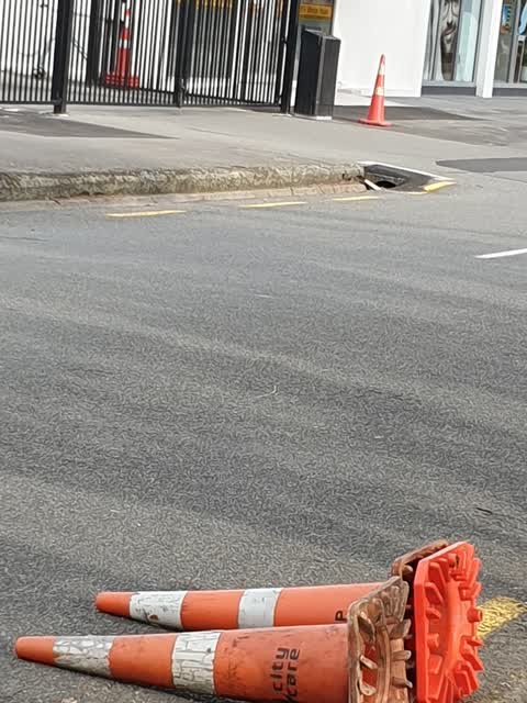 Roading/Streets, a report photo