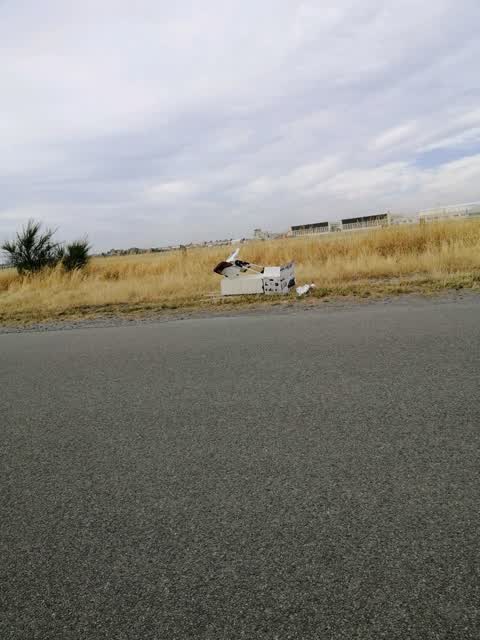 Rubbish/Recycling, a report photo