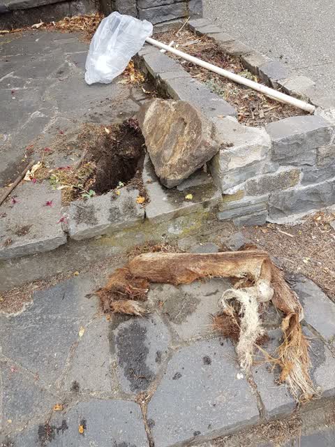 Wastewater/Stormwater, a report photo