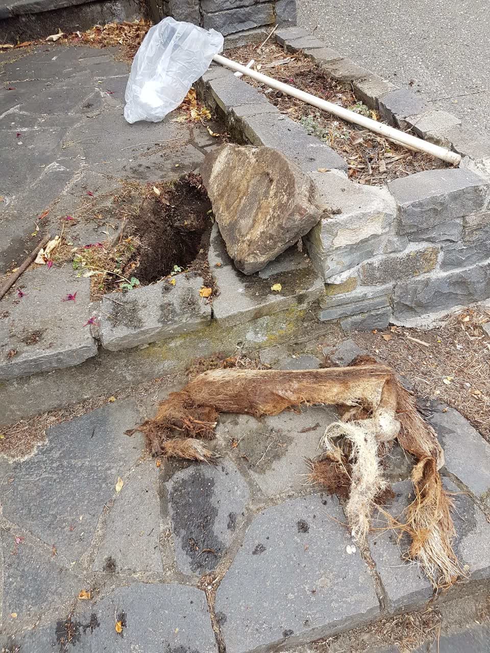 The photograph attached to this wastewater/stormwater report