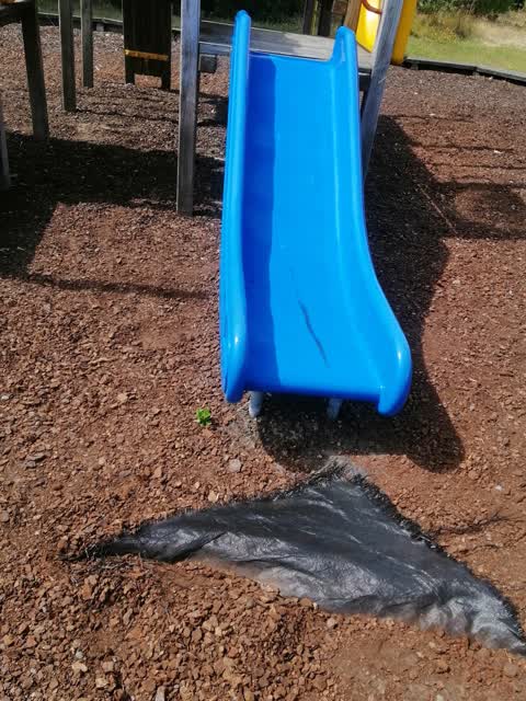 Parks — a report photo