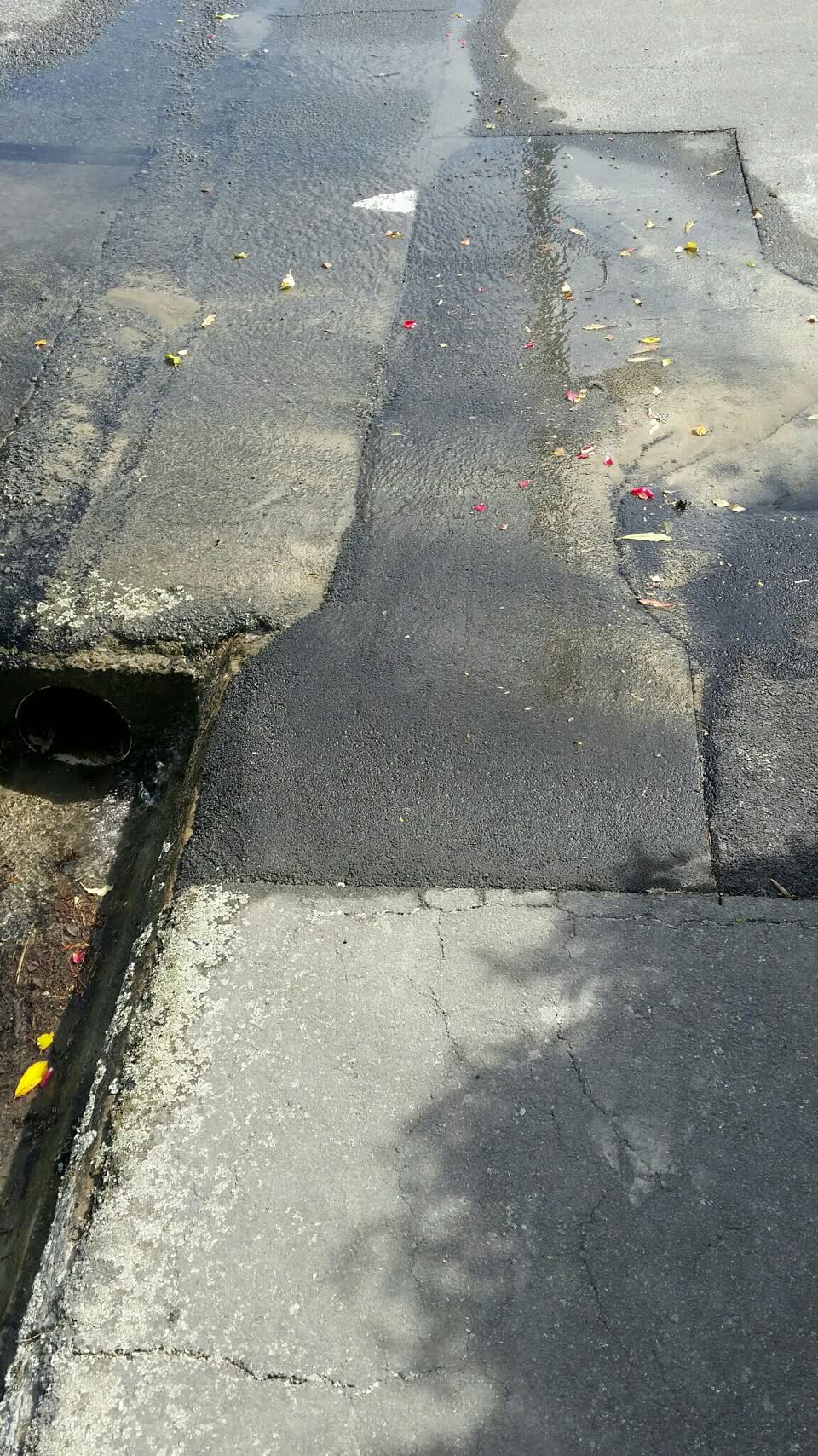 The photograph attached to this water supply report