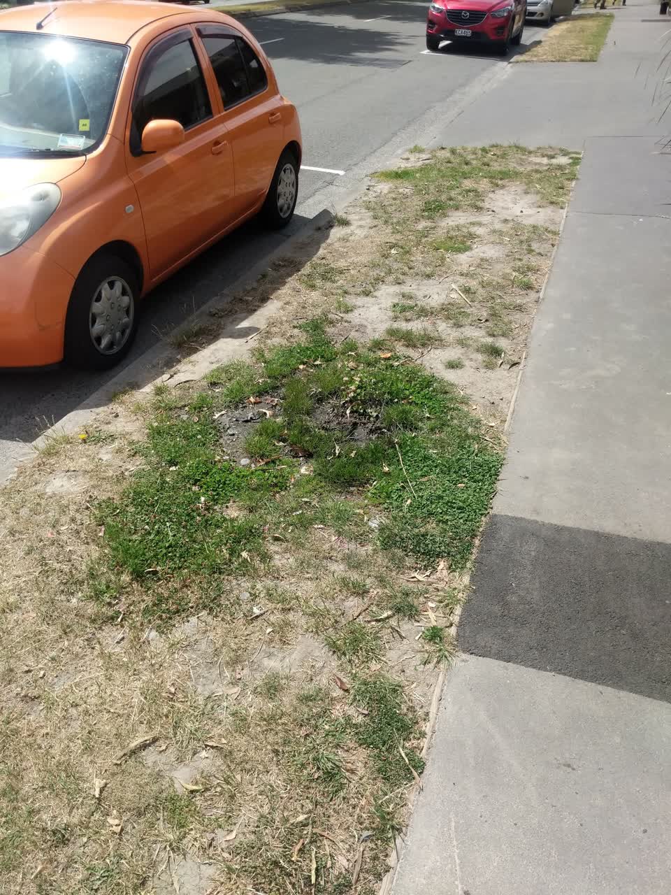 The photograph attached to this water supply report