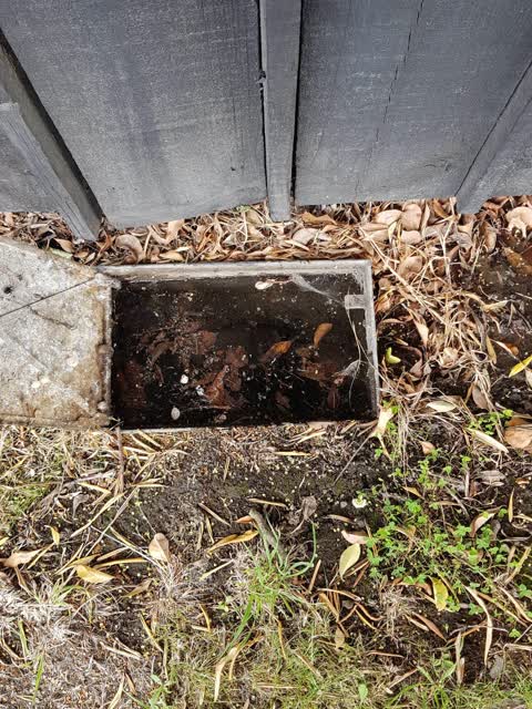 Water Supply, a report photo