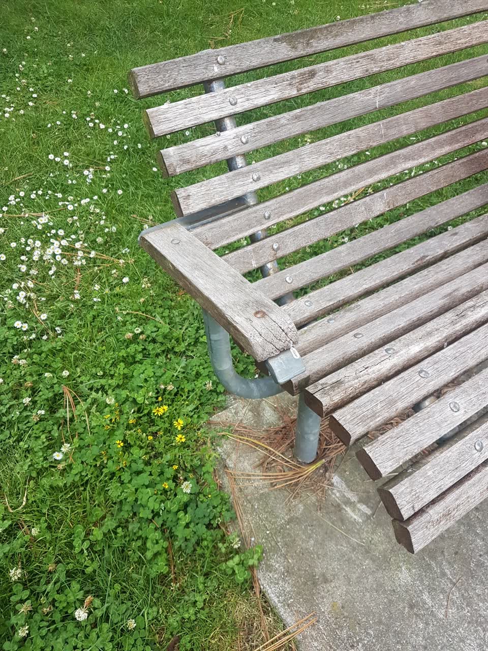 The photograph attached to this parks report