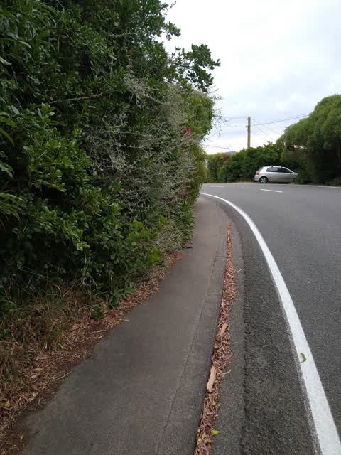 Roading/Streets, a report photo