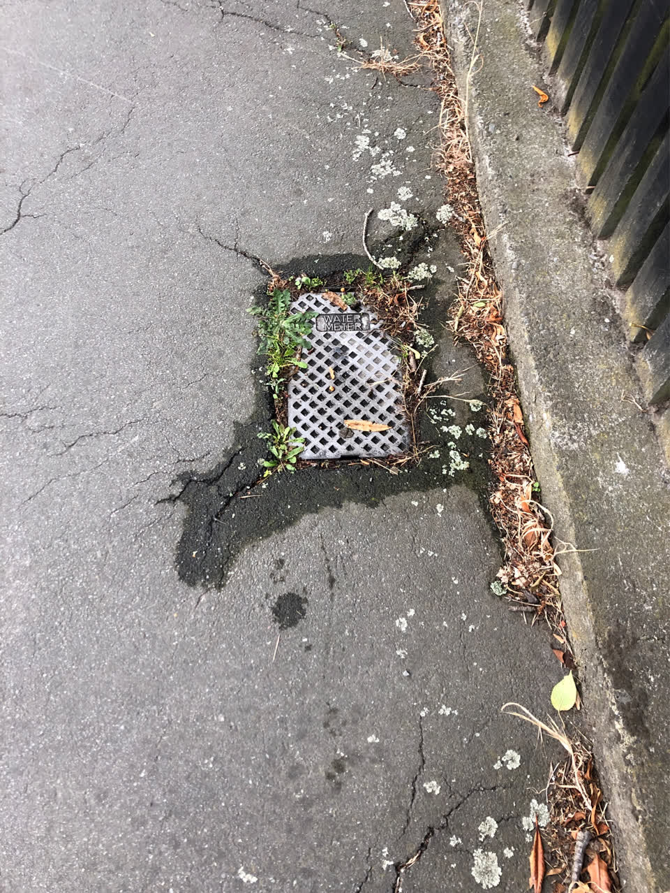 The photograph attached to this water supply report