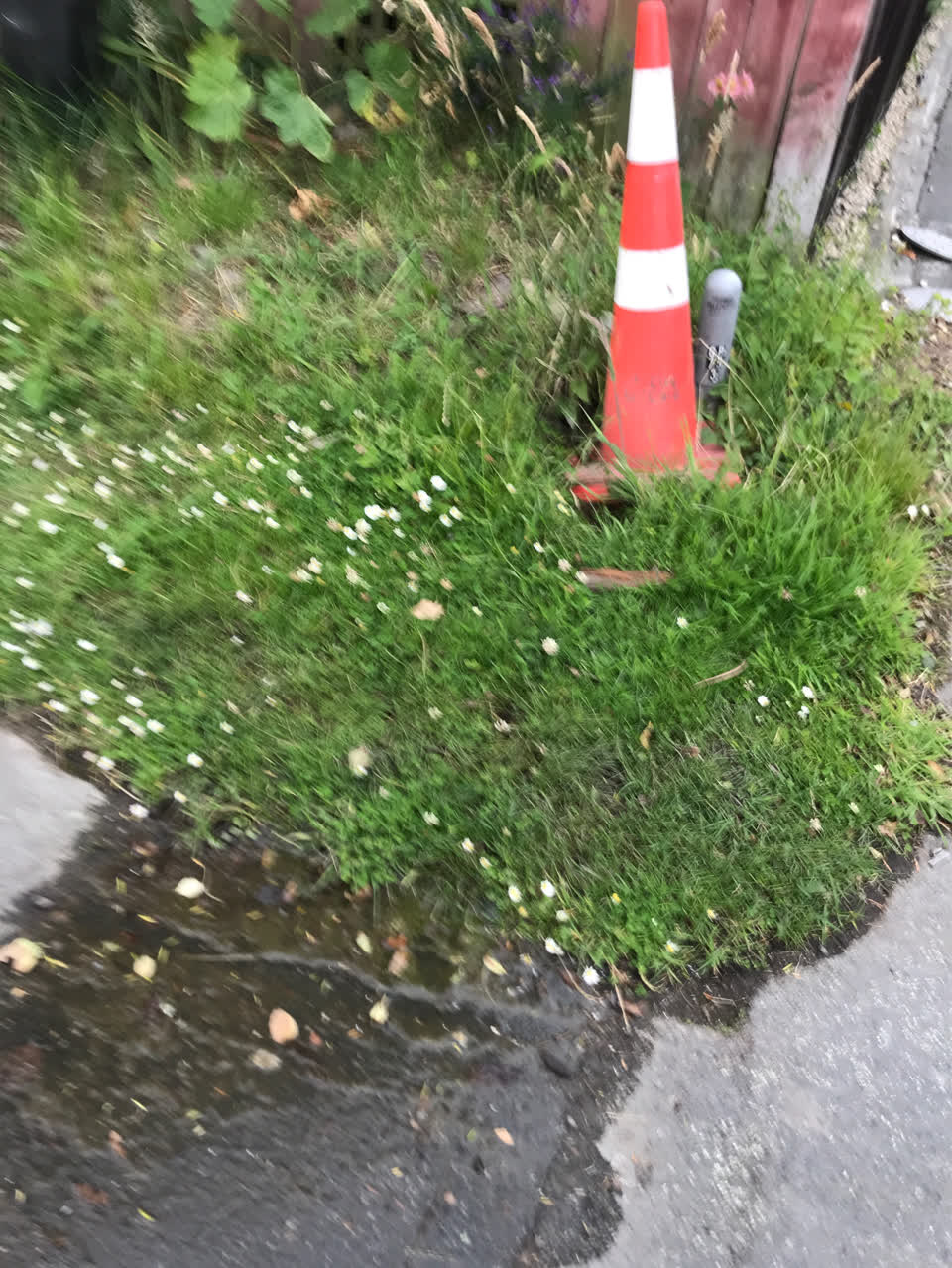 The photograph attached to this water supply report