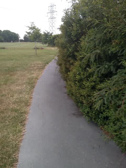 Parks, a report photo