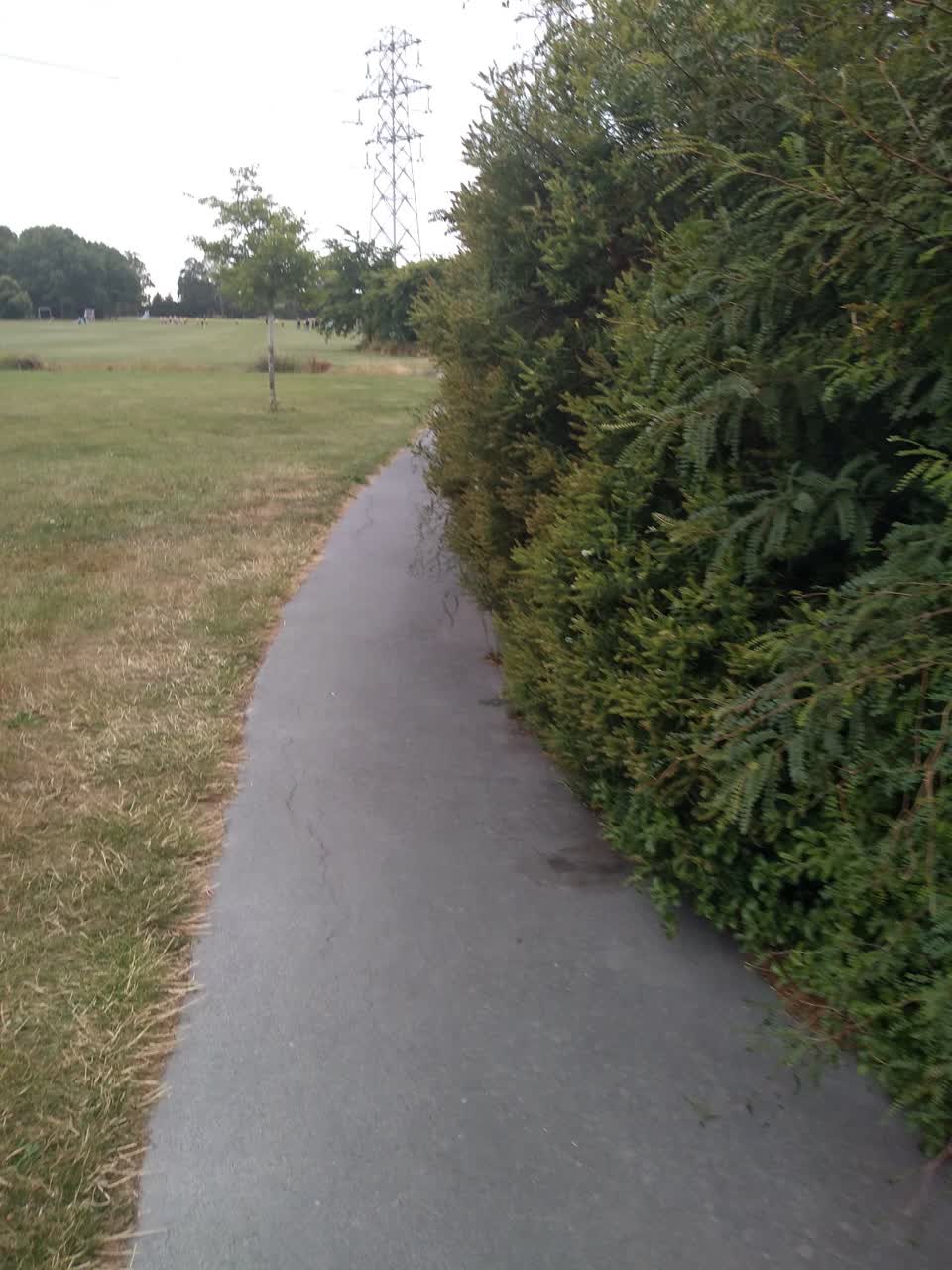 The photograph attached to this parks report