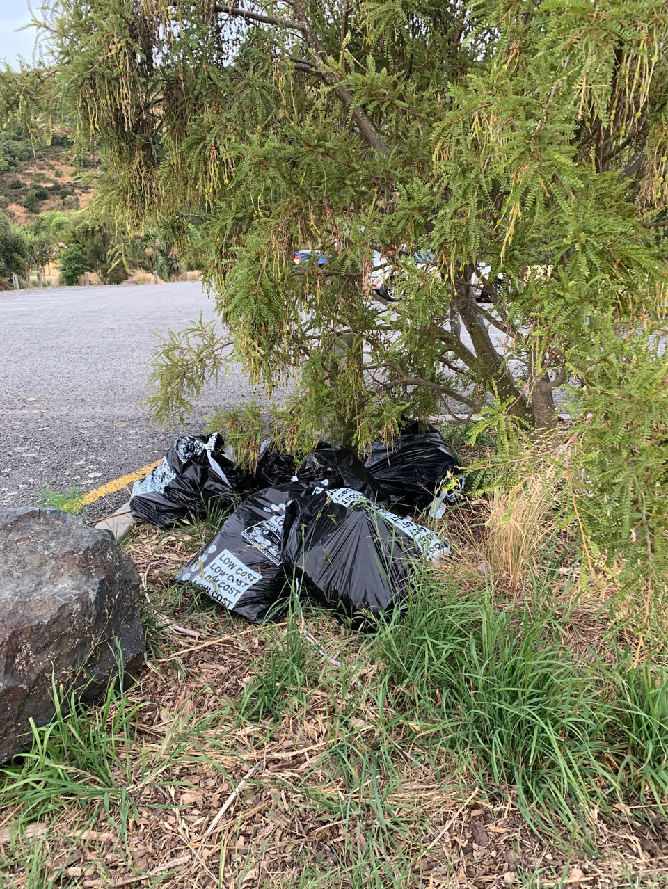 The photograph attached to this rubbish/recycling report