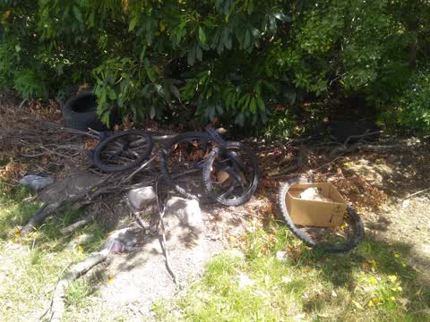 Rubbish/Recycling, a report photo