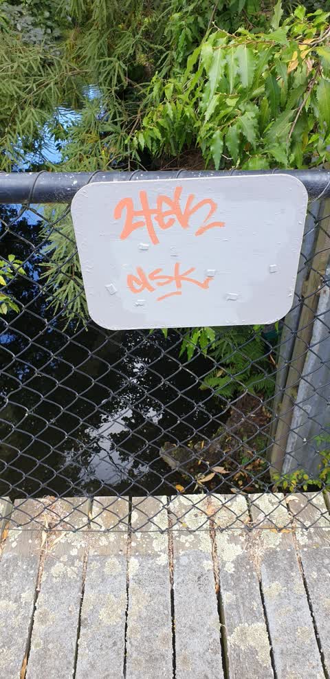Graffiti — a report photo