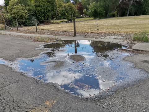 Water Supply, a report photo