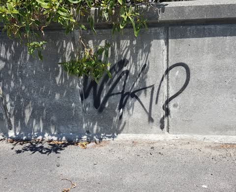 Graffiti, a report photo