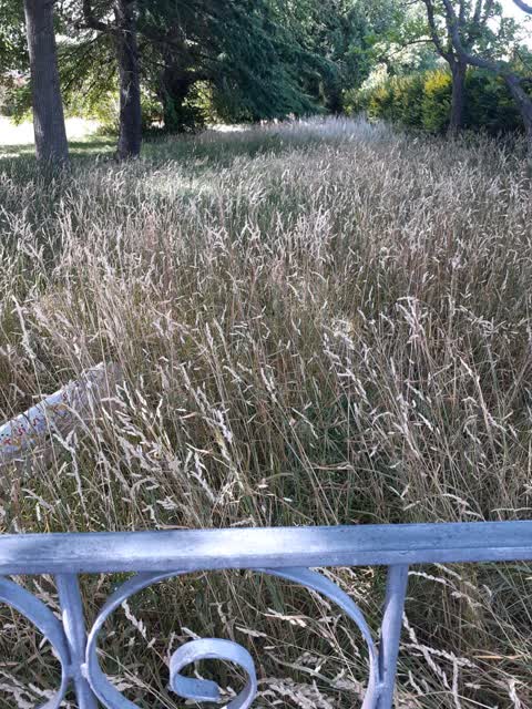 Parks, a report photo