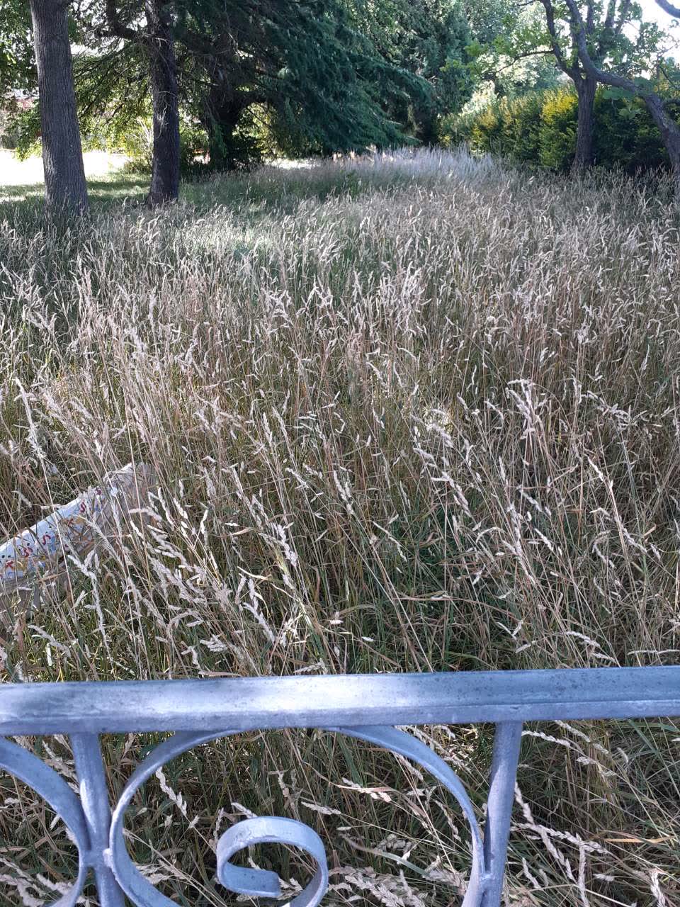 The photograph attached to this parks report