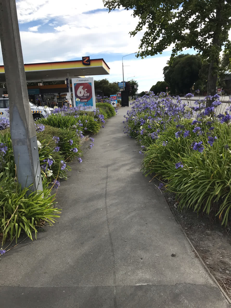 The photograph attached to this parks report