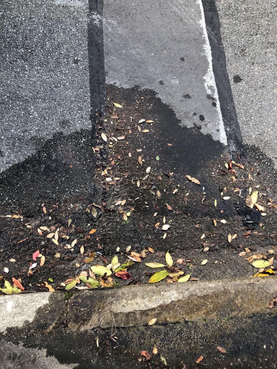 The photograph attached to this water supply report