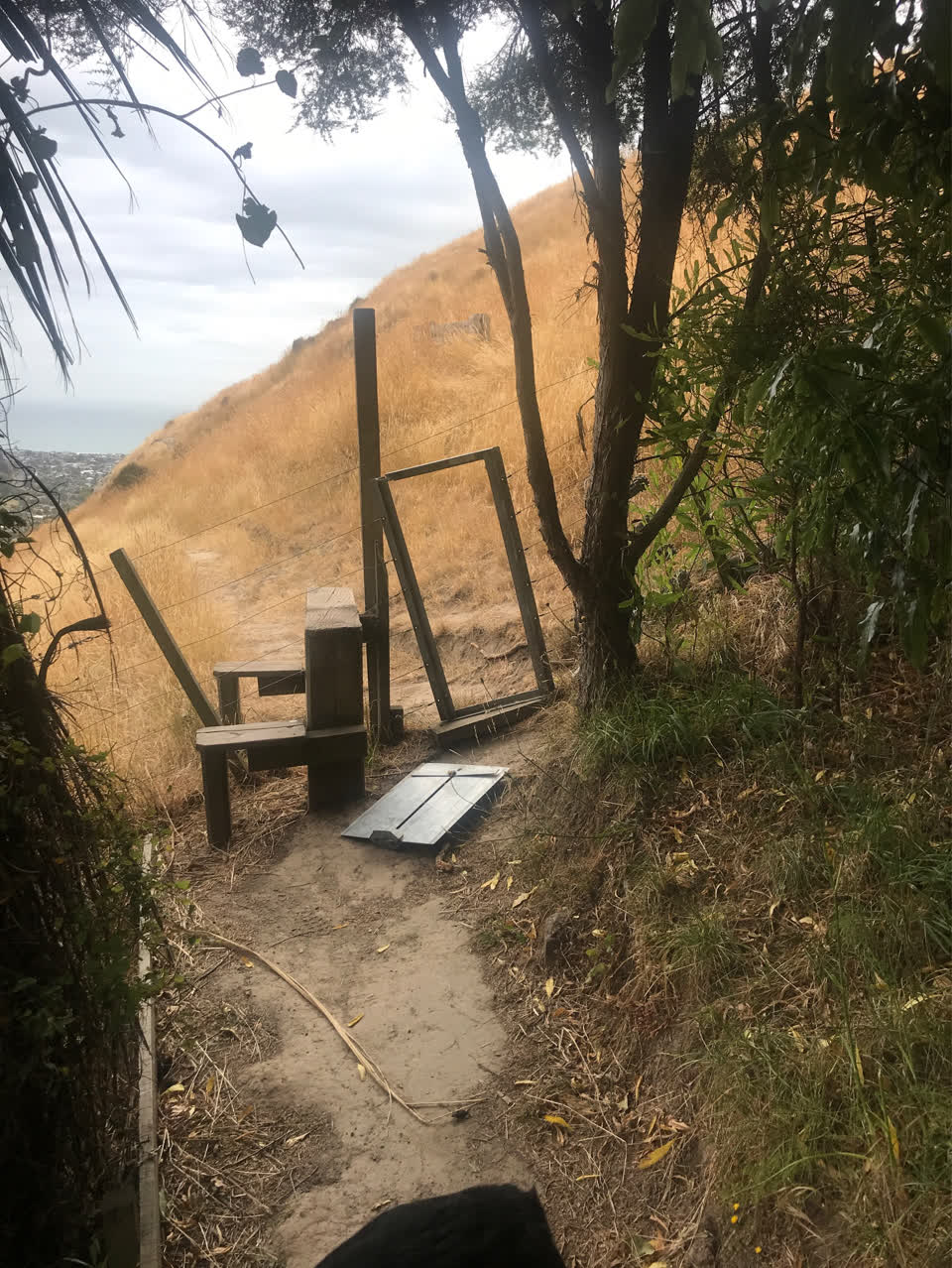 The photograph attached to this parks report