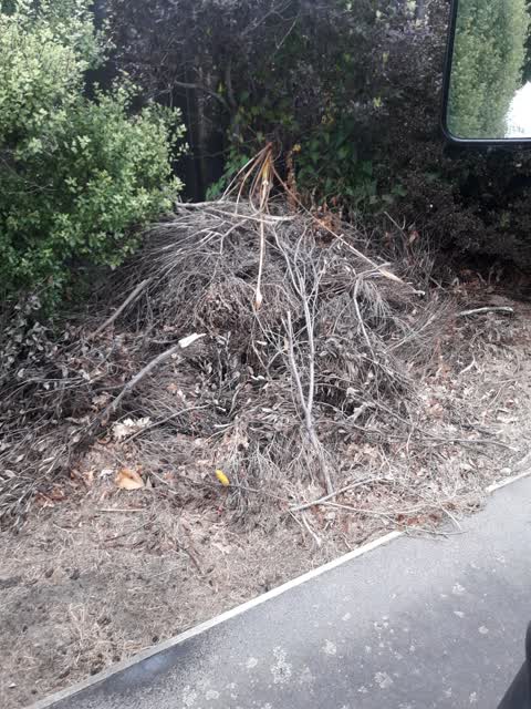 Rubbish/Recycling, a report photo