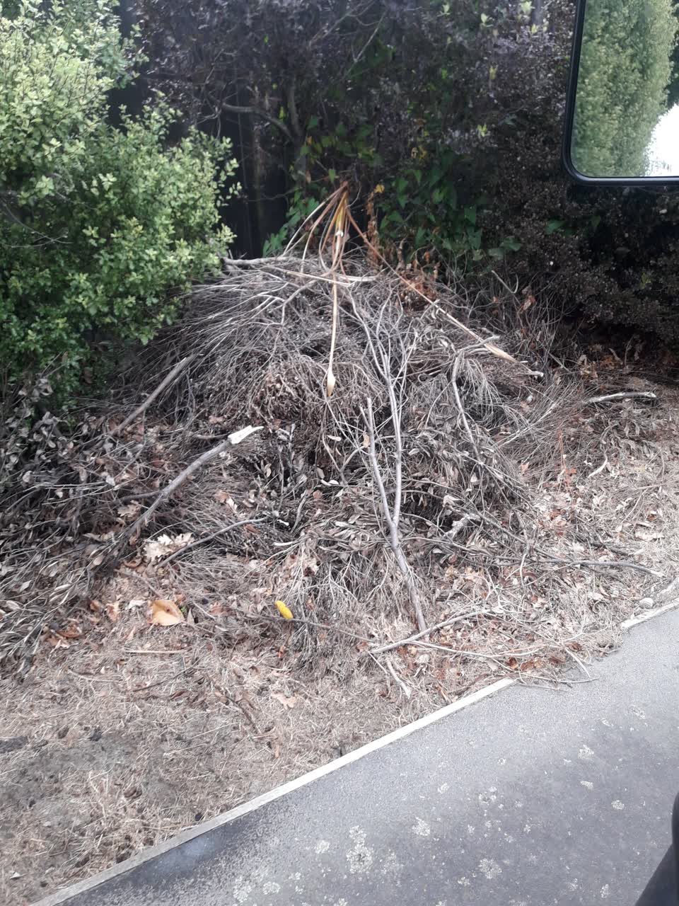 The photograph attached to this rubbish/recycling report