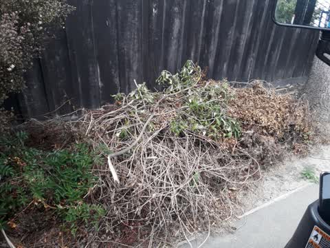 Rubbish/Recycling, a report photo