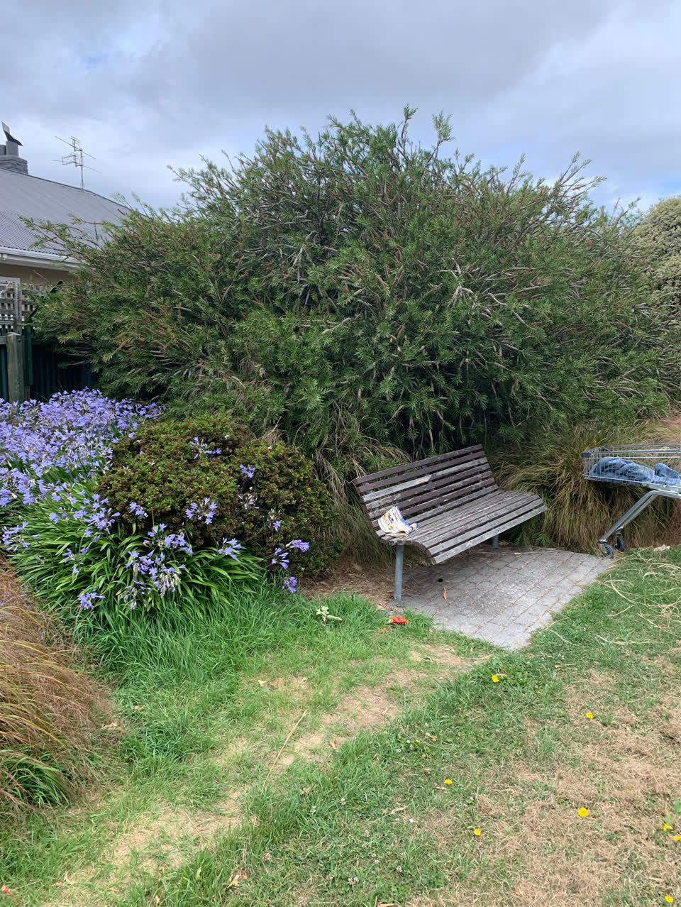 The photograph attached to this parks report