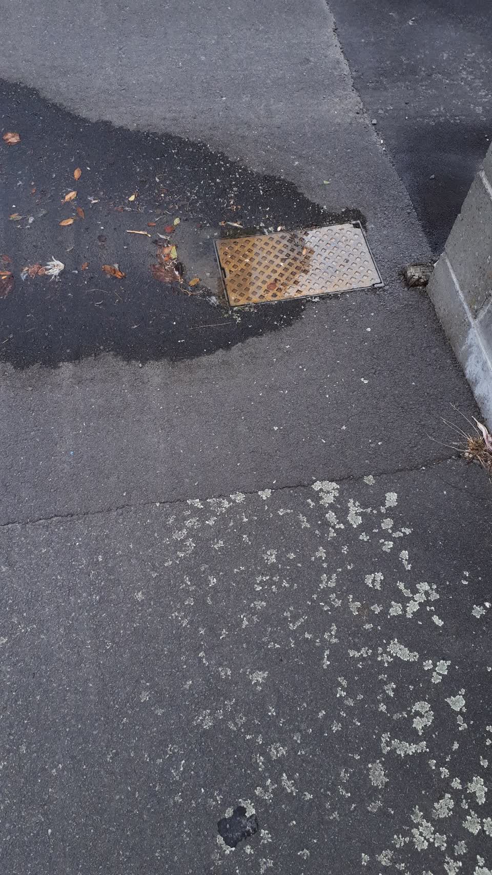 The photograph attached to this water supply report
