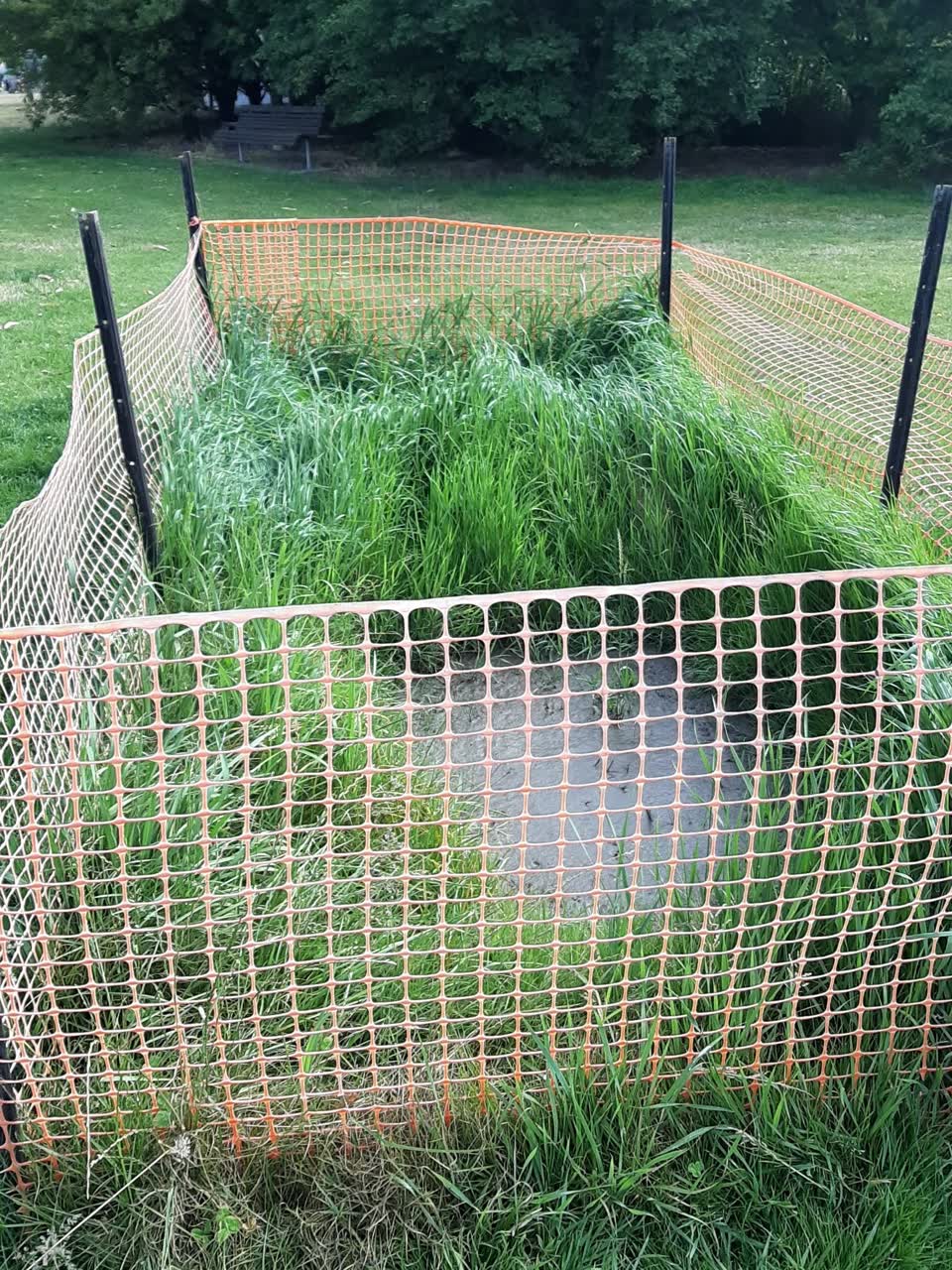 The photograph attached to this parks report