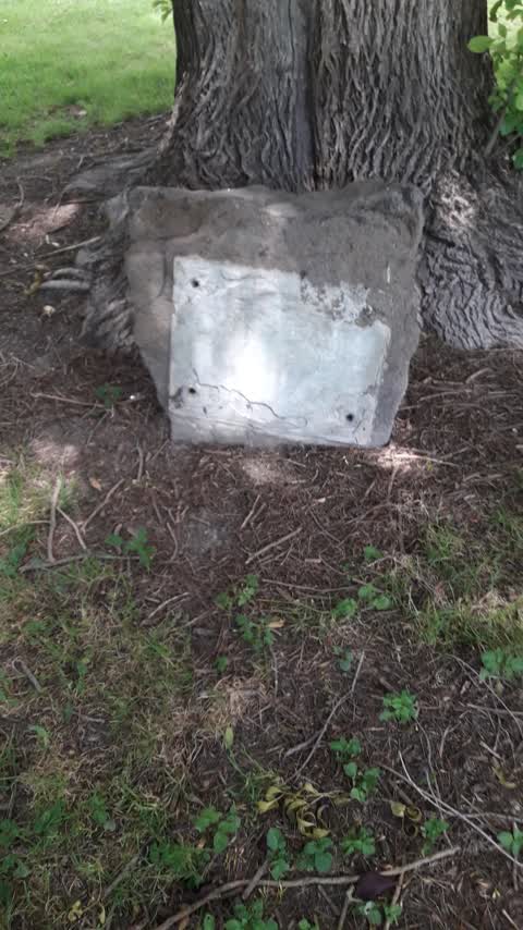 Parks, a report photo
