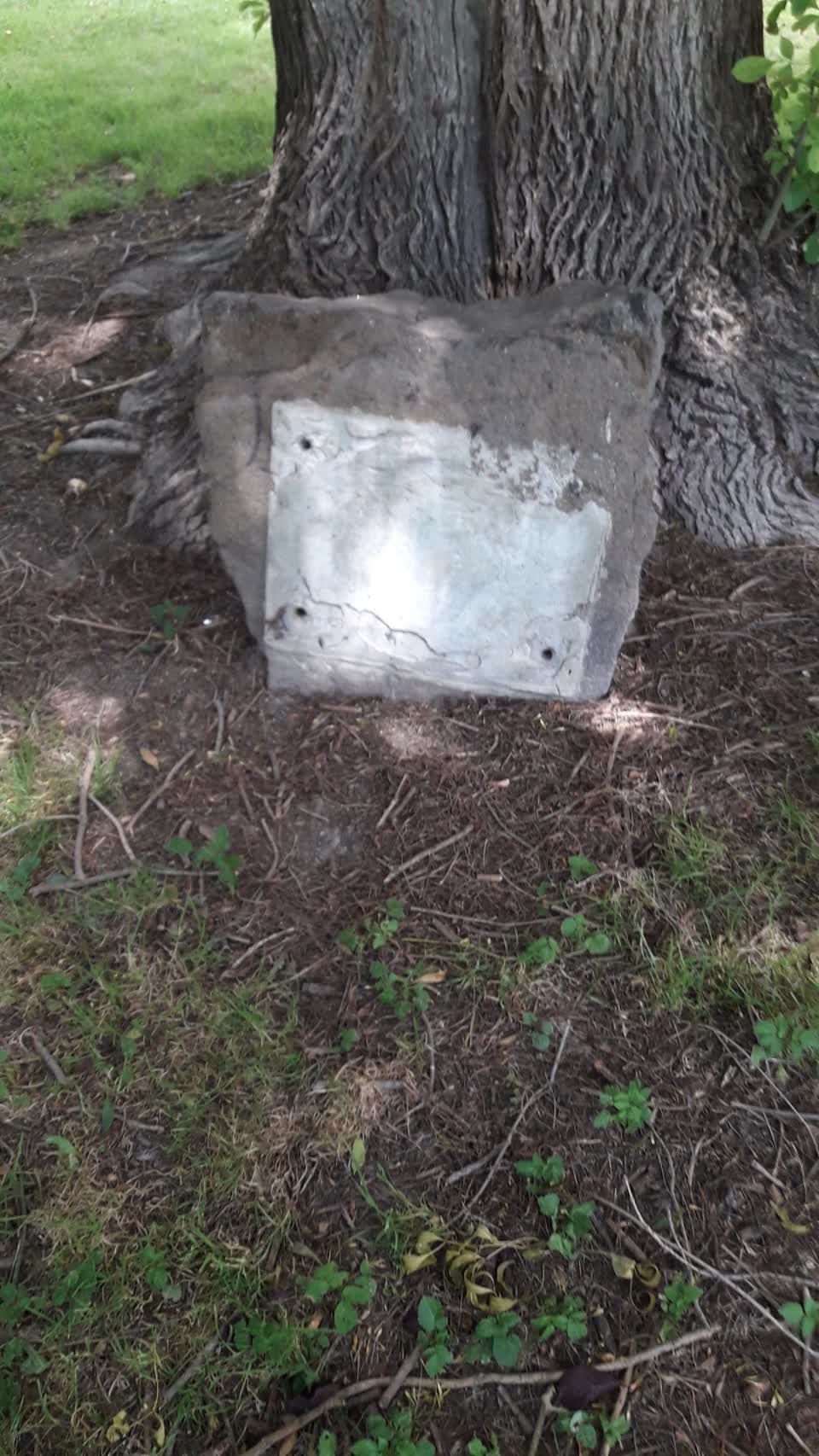 The photograph attached to this parks report