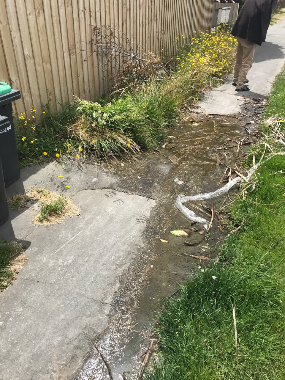 The photograph attached to this water supply report