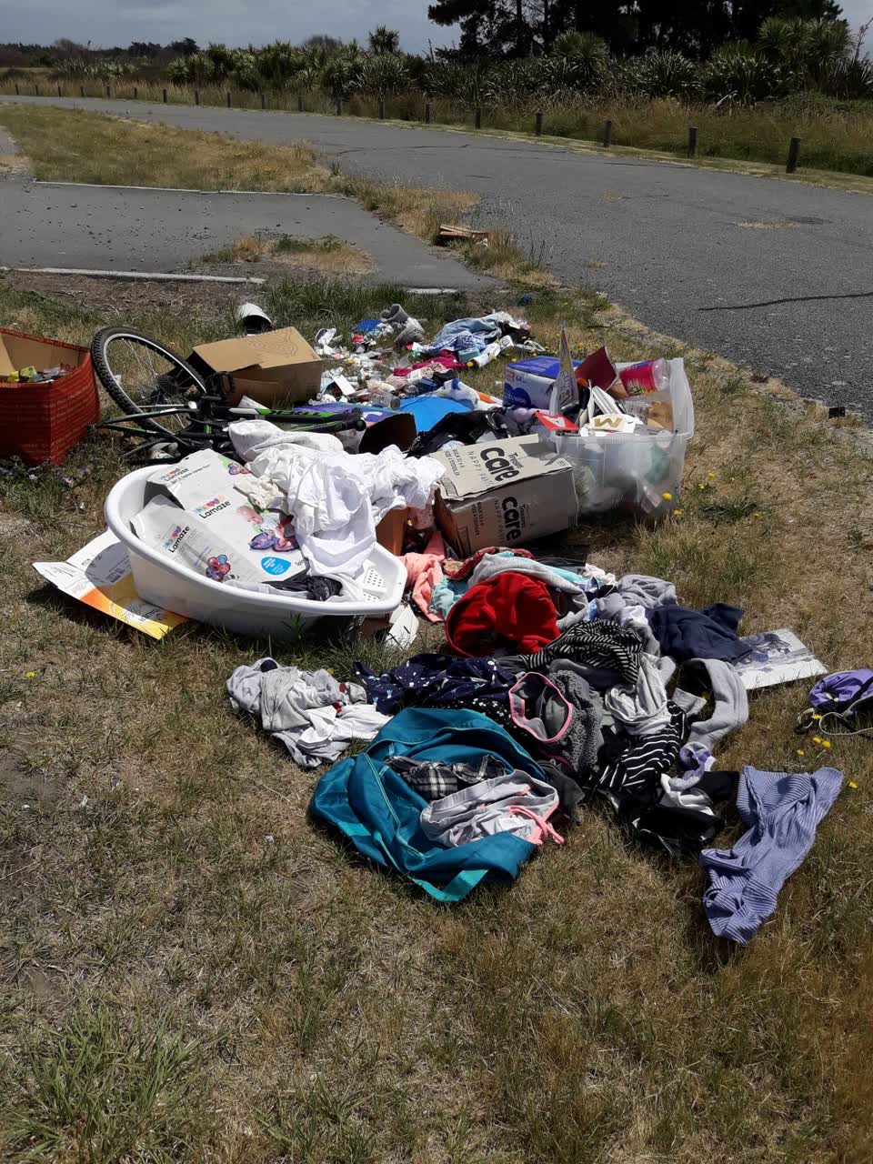 The photograph attached to this rubbish/recycling report