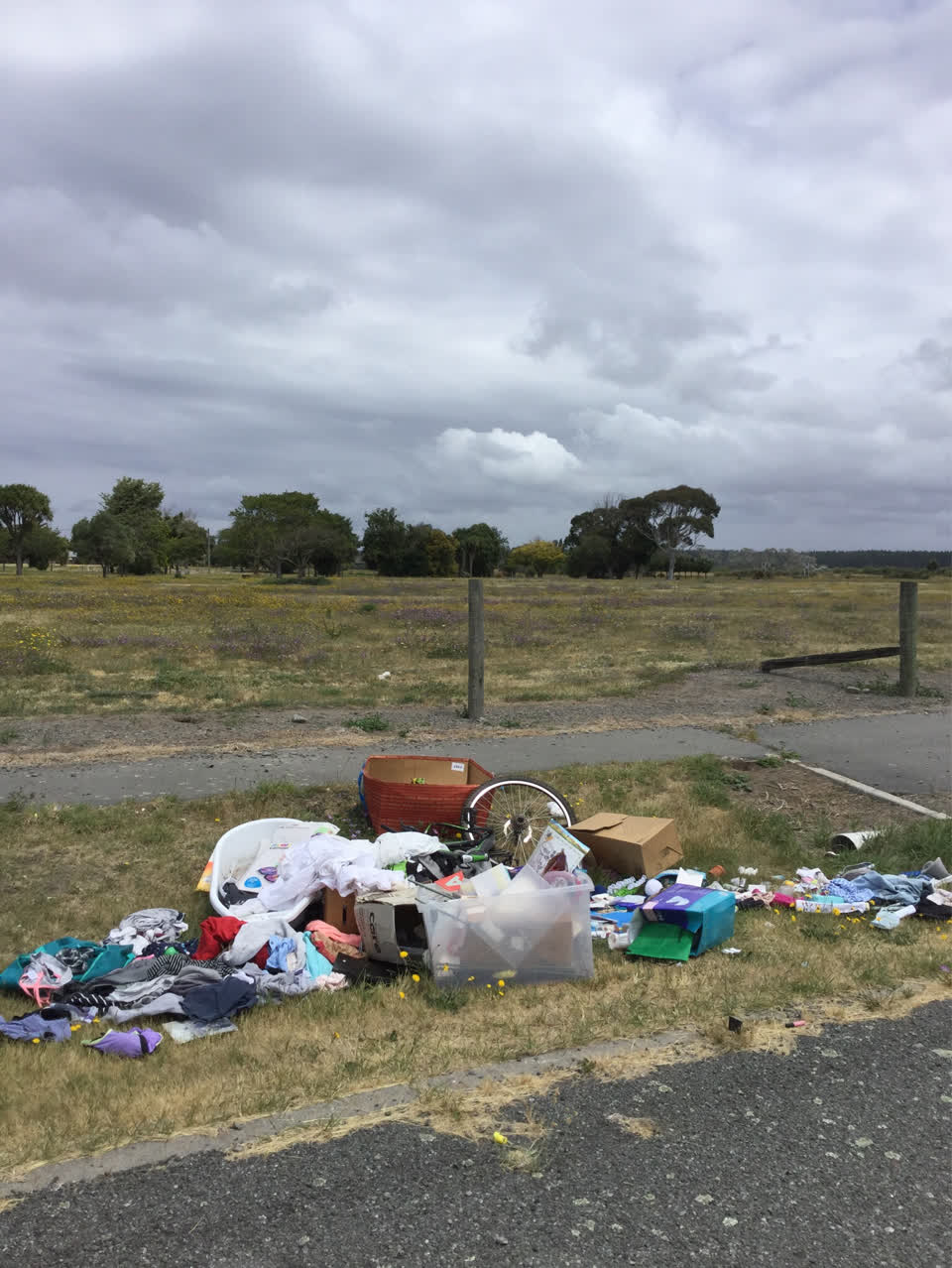 The photograph attached to this rubbish/recycling report