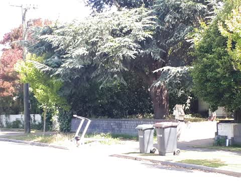 Rubbish/Recycling, a report photo