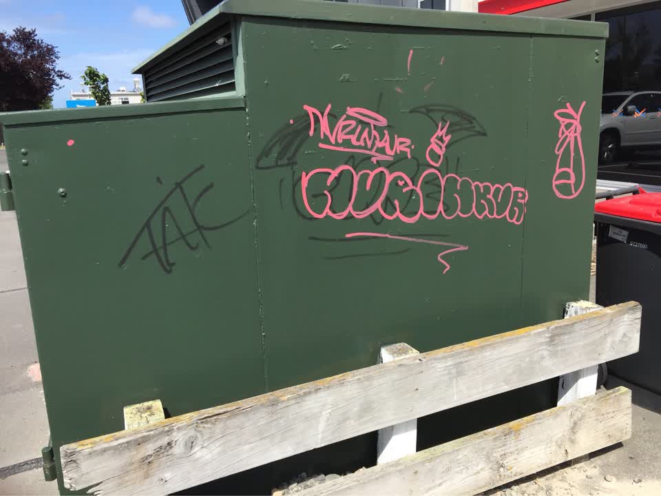 The photograph attached to this graffiti report