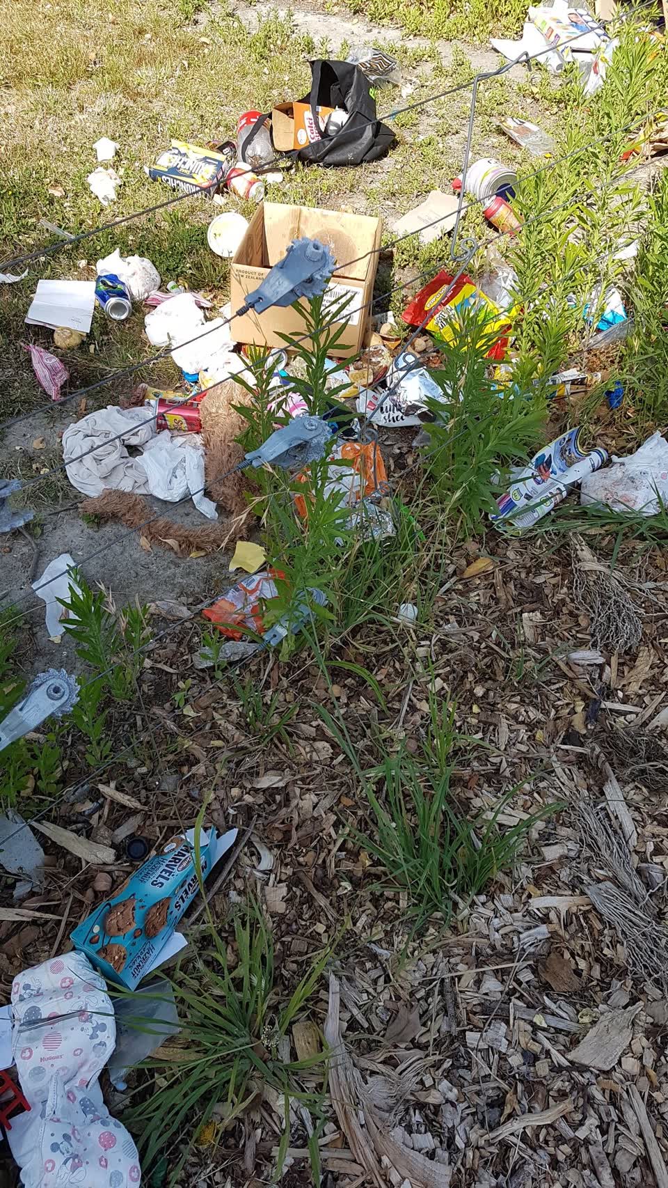 The photograph attached to this rubbish/recycling report