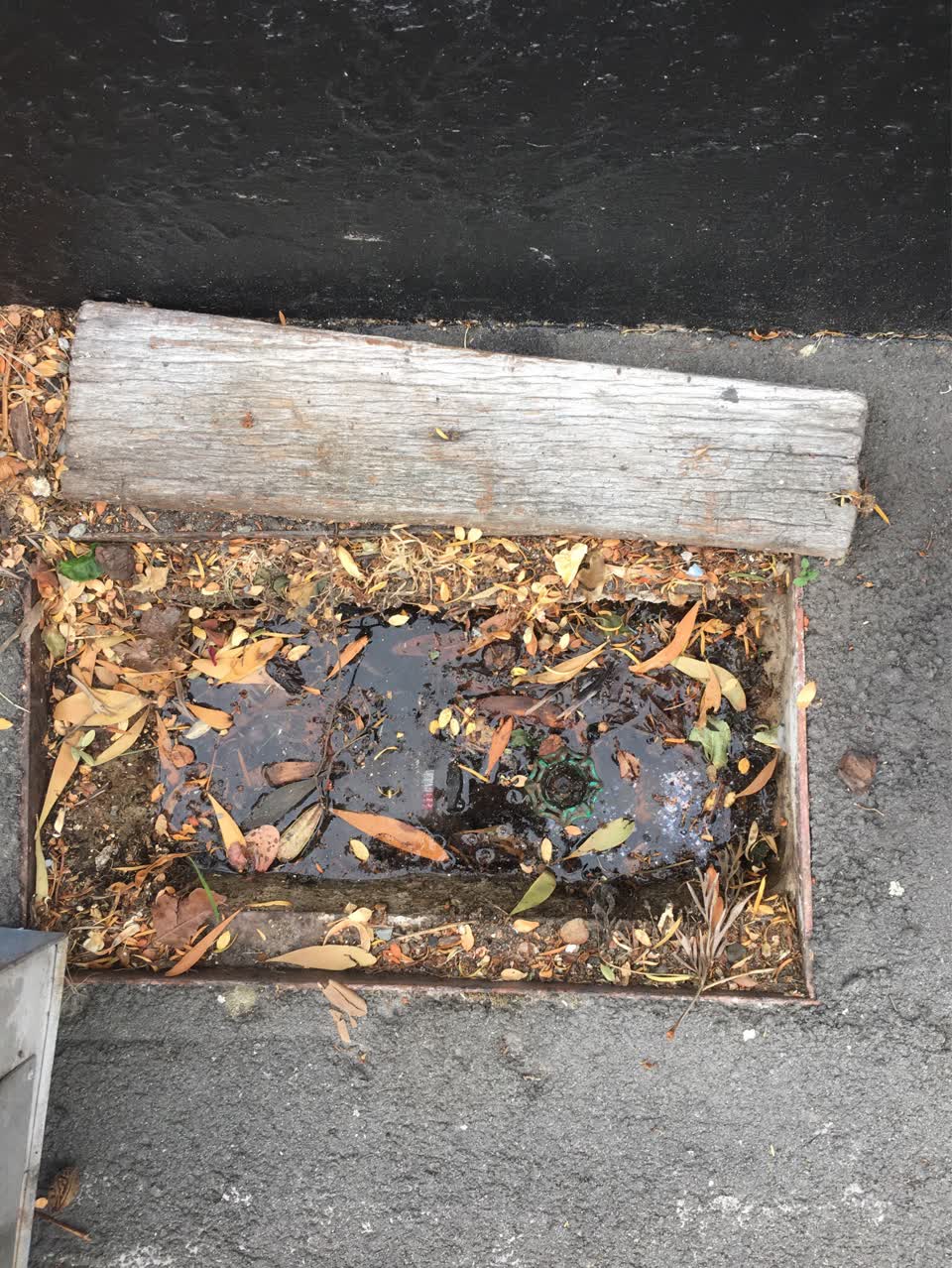 The photograph attached to this water supply report