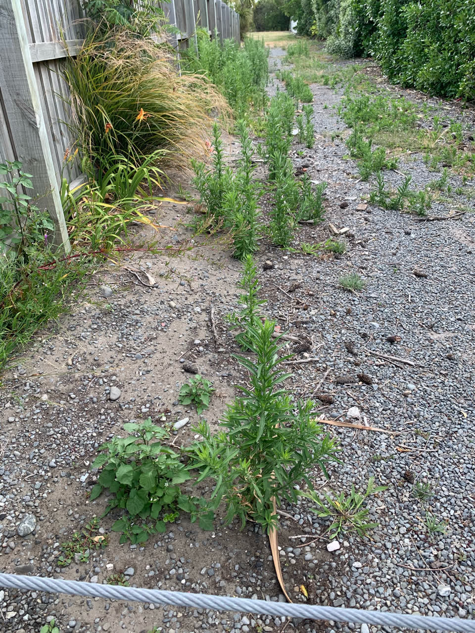 The photograph attached to this parks report