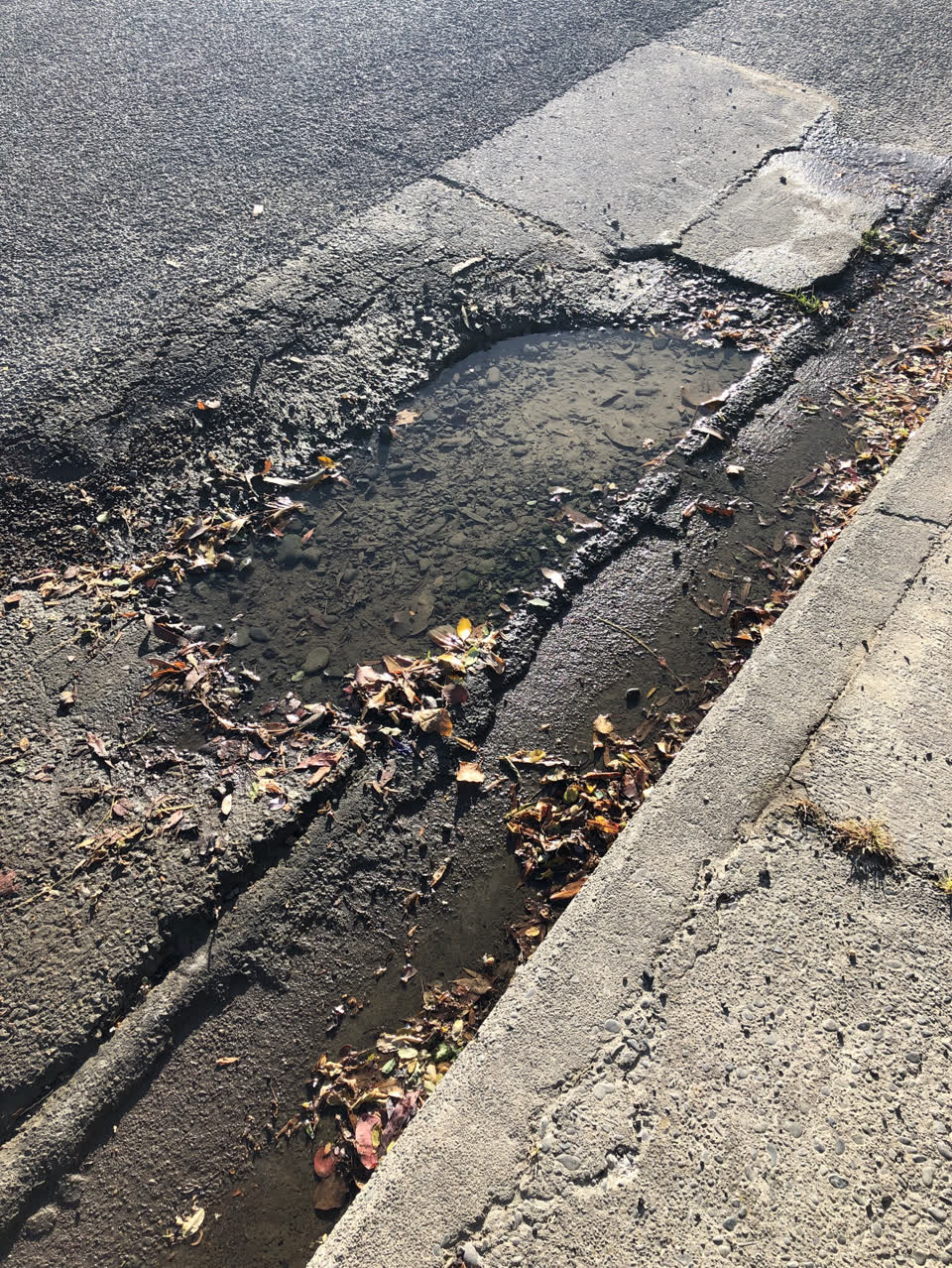 The photograph attached to this water supply report