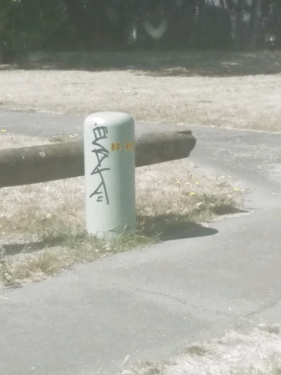 The photograph attached to this graffiti report
