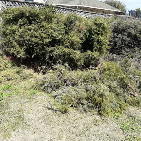 Parks, a report photo